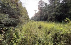 Burnt Bridge Road, Ellisville, MS 39437