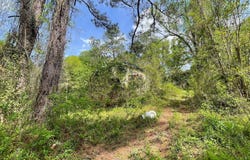 914 Reynolds, Columbus, GA 31907