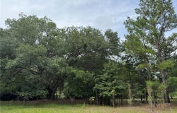 Tbd NW 67TH BOULEVARD, ALACHUA, FL 32615