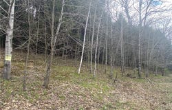 Lot B Piermott Lane, Hartwick, NY 13348
