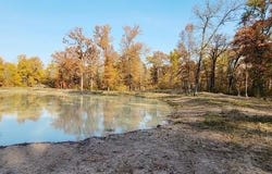 1356 County Road 1470, Bogata, TX 75417
