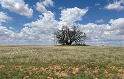Round Top Road, Snyder, TX 79549