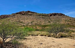 38.76 Acre N Bruno Road, Douglas, AZ 85607