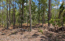 6218 EMORY Avenue, Keystone Heights, FL 32656