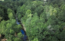 00A W Glazypeau Road, Mountain Pine, AR 71956