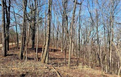 COUNTY ROAD 852 lot: 1, HEFLIN, AL 36264