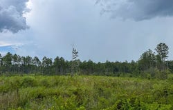 T-2 Highway 127, Trout, LA 71371