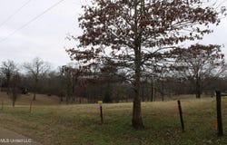 5899 Crawford Road, Hernando, MS 38632