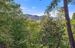 535 Scenic Drive, Jacksonville, OR 97530
