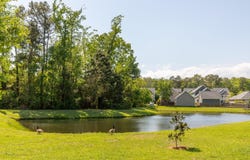 1417 Roustabout Way, Charleston, SC 29414
