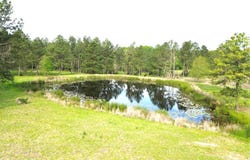 1200 Buckhorn Creek Drive, Crockett, TX 75835