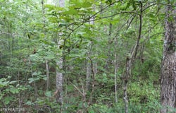 299 Fair Oaks Lane, Jamestown, TN 38556