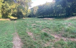 1  Black Branch Spur Rd., Burkesville, KY 42717