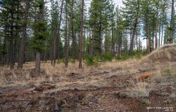 Dropping Draw lot: 56, Eureka, MT 59917