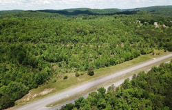 Lot #2 HIGHWAY 75, ONEONTA, AL 35121