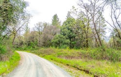 3291 Stage Trail Road, Greenwood, CA 95635