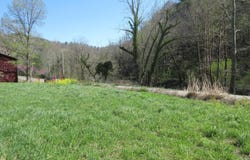 9222 Roan Creek Road Road, Butler, TN 37640