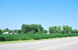 4917 N Wheeling Avenue, Muncie, IN 47304