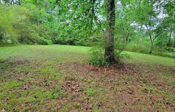 120 Brookhaven Road, Searcy, AR 72143