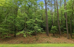 335 Pamlico River Drive lot: 123, Washington, NC 27889