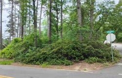 107 Lorick Circle, Lexington, SC 29072
