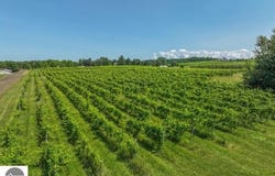 0 NELSON ROAD, TRAVERSE CITY, MI 49686