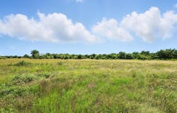 Lot 42 Longview Creek Trail, Itasca, TX 76055
