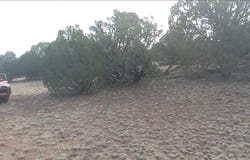 Tbd LAZY O RD, Show Low, AZ 85901
