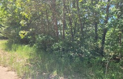 Vl Round Lake Drive, Fennville, MI 49408