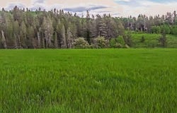 1656 Shadow Loop S, Ashton, ID 83420