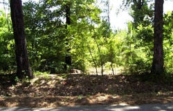 1131 LR 35, Ashdown, AR 71822