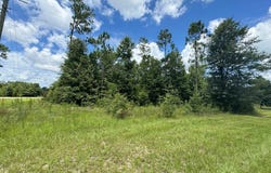 Lot 32 Parkside, Donalsonville, GA 39845