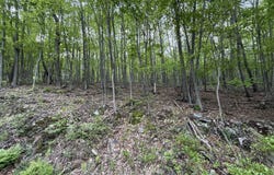 0 Cherry Run Road, Bedford, PA 15522