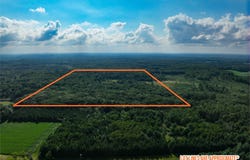 0000 Heintown Road, Willard, WI 54493