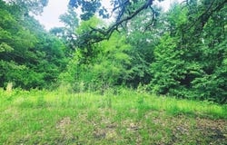 22473 FM 2208, Harleton, TX 75651
