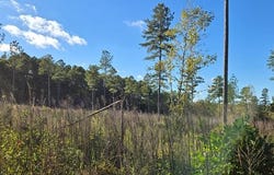 Millville Rd lot: C, Lawrenceville, VA 23868