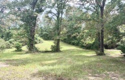 4599 Brushy Creek Rd, Range, AL 36473