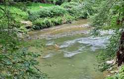 1101 Chestnut Falls Ln, Galax, VA 24333