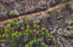 Broomfield Road, Waldron, AR 72958