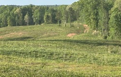 0 Needmore Road - (345.37 acres), Roopville, GA 30170