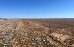 1 FM 2192, Wilson, TX 79381