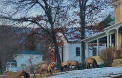 7227 3rd Street, Driftwood, PA 15832