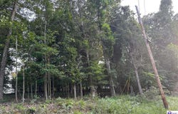 539 Strawberry Hill Drive, Brandenburg, KY 40108