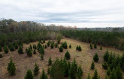 3448 Lower Centreville Road, Liberty, MS 39645