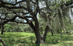 0000 County Road 18, Edna, TX 77957