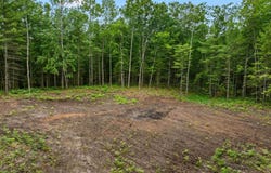 0 V/L Albrecht Road, Interlochen, MI 49643