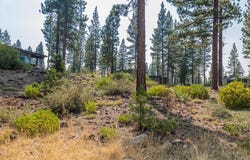 2412 Newhall Court, Truckee, CA 96161