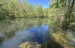 Lot 5 Taylor Road, Elkmont, AL 35620