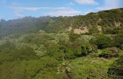 HILEA RD, Naalehu, HI 96772