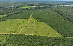 0 Faith Plantation Drive, Princeton, LA 71067